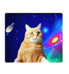 宇宙の中の猫（個別スタンプ：13）