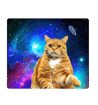 宇宙の中の猫（個別スタンプ：17）