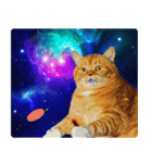 宇宙の中の猫（個別スタンプ：23）