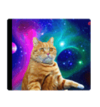 宇宙の中の猫（個別スタンプ：24）