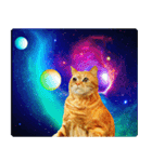 宇宙の中の猫（個別スタンプ：27）