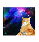 宇宙の中の猫（個別スタンプ：29）