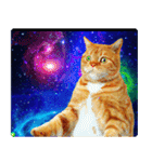 宇宙の中の猫（個別スタンプ：31）
