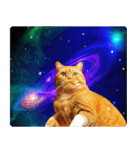 宇宙の中の猫（個別スタンプ：40）