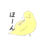 色んなトリさん（個別スタンプ：11）
