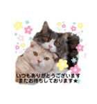 トト君メロちゃんスタンプ③（個別スタンプ：1）