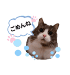 トト君メロちゃんスタンプ③（個別スタンプ：6）