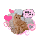 トト君メロちゃんスタンプ③（個別スタンプ：8）