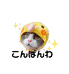 トト君メロちゃんスタンプ③（個別スタンプ：21）