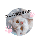 トト君メロちゃんスタンプ③（個別スタンプ：23）