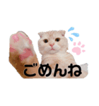トト君メロちゃんスタンプ③（個別スタンプ：32）