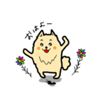 ポメラニアンもふもふライフ（個別スタンプ：17）