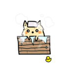 ポメラニアンもふもふライフ（個別スタンプ：21）