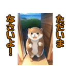 かわいいウソ敬語のカワウソ（個別スタンプ：3）