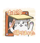 敬語ねこにゃ。（個別スタンプ：12）