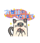 敬語ねこにゃ。（個別スタンプ：20）