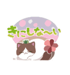 たにくネコLINEスタンプ vol.2（個別スタンプ：40）