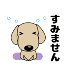 心優しい・癒しのダックスフンド・犬（個別スタンプ：35）