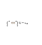 (̨̡՞ . .՞)̧̢（個別スタンプ：7）
