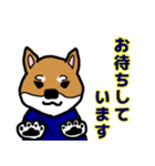 マッサージする柴犬（個別スタンプ：2）