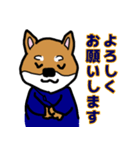 マッサージする柴犬（個別スタンプ：5）