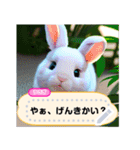 うさぎのメッセージ_ver0.1（個別スタンプ：23）