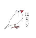 うちの文鳥スタンプ3（個別スタンプ：12）