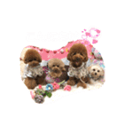 くぅ、パール、ふく、蓮のほのぼのスタンプ（個別スタンプ：2）