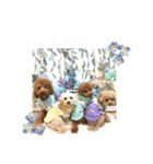 くぅ、パール、ふく、蓮のほのぼのスタンプ（個別スタンプ：3）