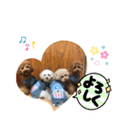 くぅ、パール、ふく、蓮のほのぼのスタンプ（個別スタンプ：11）