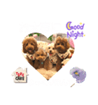 くぅ、パール、ふく、蓮のほのぼのスタンプ（個別スタンプ：18）