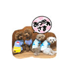 くぅ、パール、ふく、蓮のほのぼのスタンプ（個別スタンプ：21）