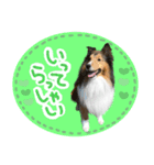 ディーくん（個別スタンプ：2）