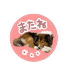 ディーくん（個別スタンプ：5）