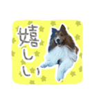ディーくん（個別スタンプ：6）