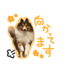 ディーくん（個別スタンプ：7）