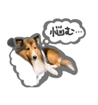 ディーくん（個別スタンプ：8）