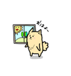 ポメラニアン もふもふライフ（個別スタンプ：5）