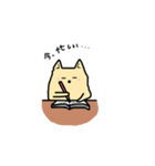 ポメラニアン もふもふライフ（個別スタンプ：7）