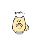 ポメラニアン もふもふライフ（個別スタンプ：10）
