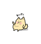 ポメラニアン もふもふライフ（個別スタンプ：13）