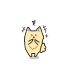 ポメラニアン もふもふライフ（個別スタンプ：14）