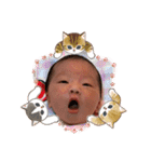 おちゅきたま（個別スタンプ：1）