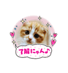 もち吉 mochikichi（個別スタンプ：1）