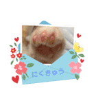 もち吉 mochikichi（個別スタンプ：3）