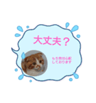 もち吉 mochikichi（個別スタンプ：5）