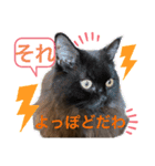 黒猫 ルナ院長86にゃんめ（個別スタンプ：7）