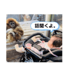 りまってそうなの（個別スタンプ：14）
