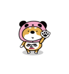 飛び出す♪【日常】柴犬パンダ（個別スタンプ：5）