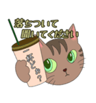 【お知らせ猫】（個別スタンプ：7）